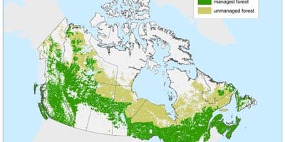 Karte von Kanada Wälder