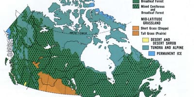 Karte von Kanada vegetation